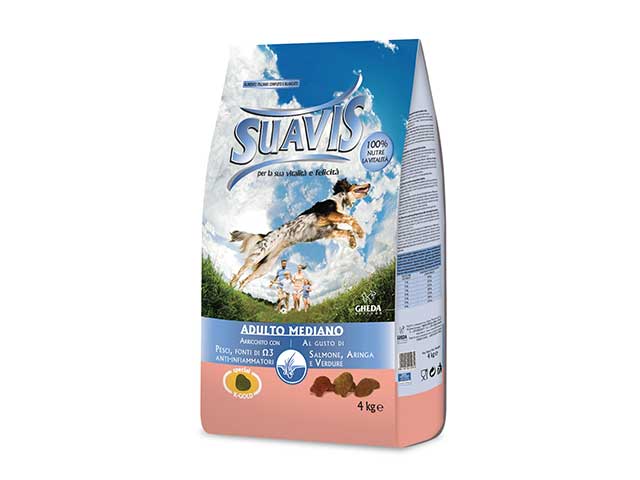 Cena Di Salmone & Aringa Cibo Umido Per Cani 400g